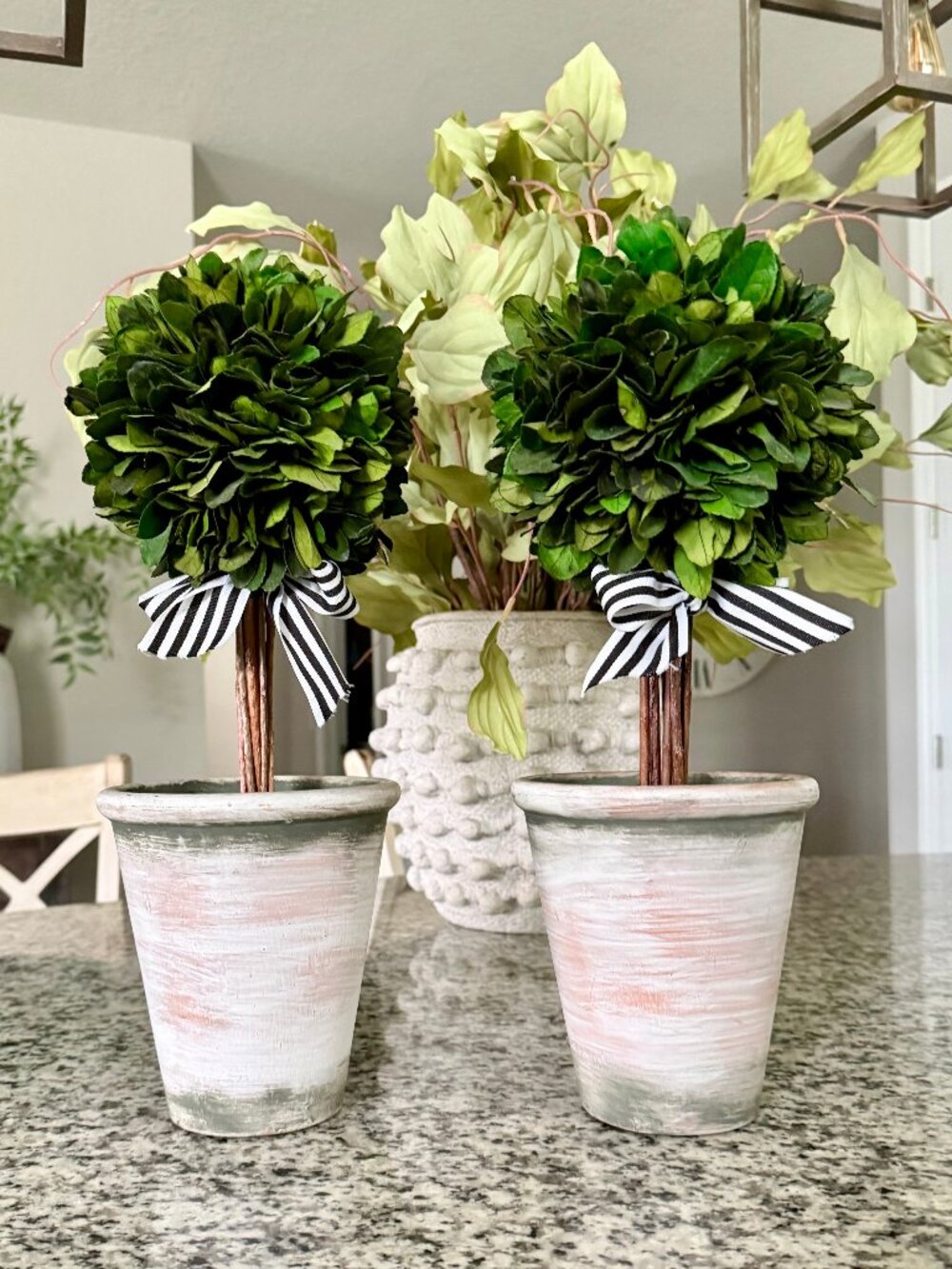 2 Boxwood Topiaries